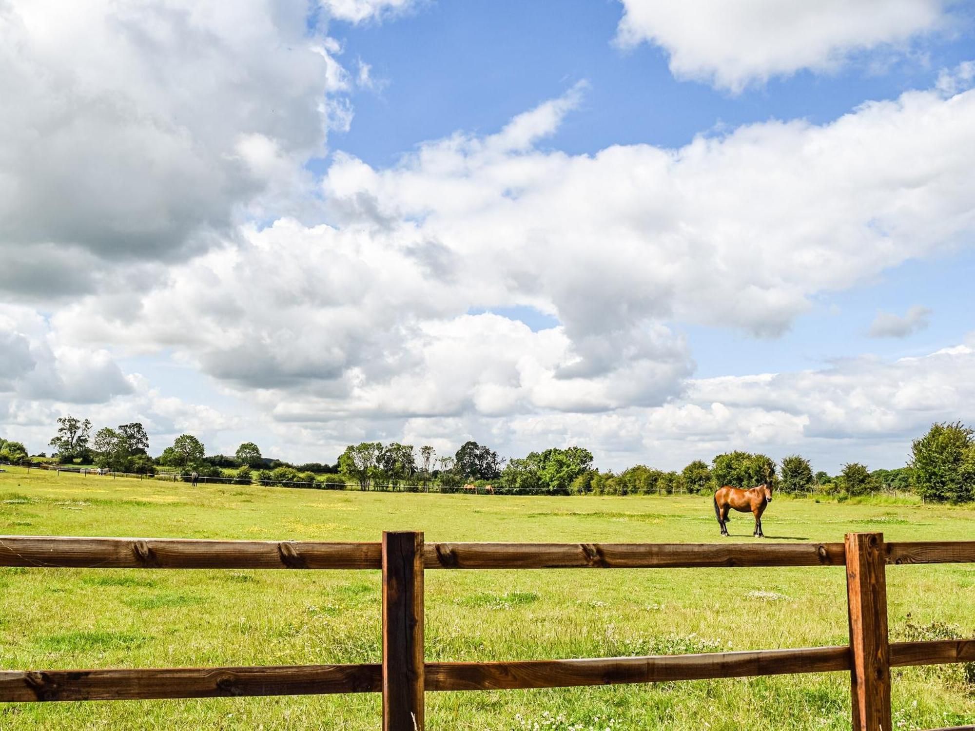 Pheasant Lodge - Uk33402 Hungerton エクステリア 写真