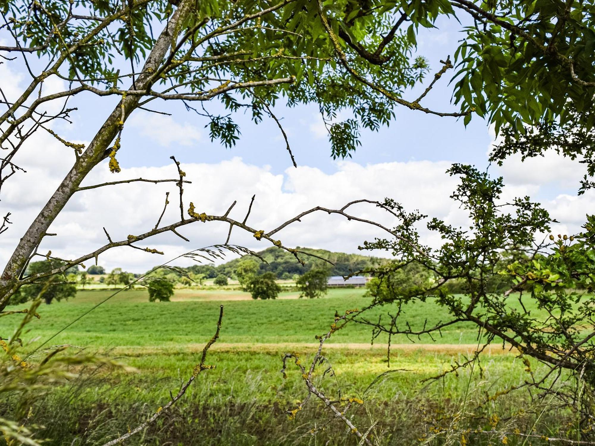 Pheasant Lodge - Uk33402 Hungerton エクステリア 写真